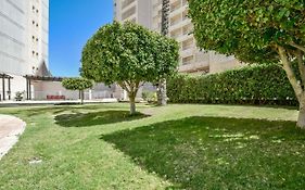 Homeincalpe Apolo XVII 1-13-39
